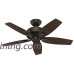 Hunter Fan Company 51084 Newsome Ceiling Fan with Light  42"/Small  Premier Bronze - B01C2A17UC